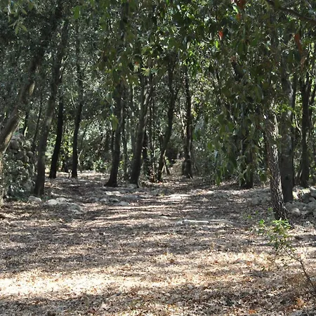 Boschetto Segreto Holiday home *