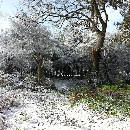 Boschetto Segreto Noto