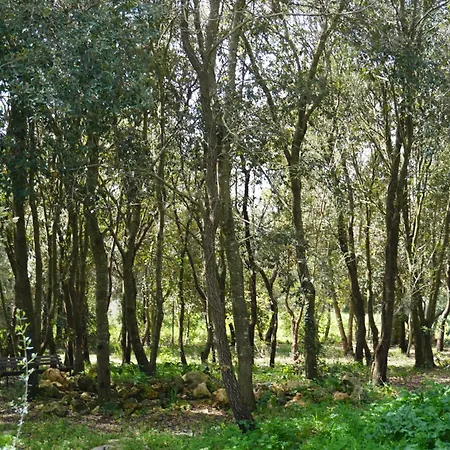 Holiday home Boschetto Segreto