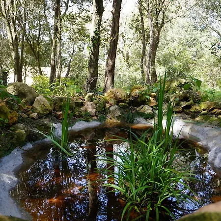 Holiday home Boschetto Segreto