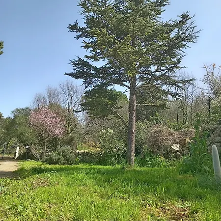 Boschetto Segreto * Noto